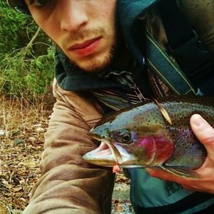 Meet your Posher, Cole